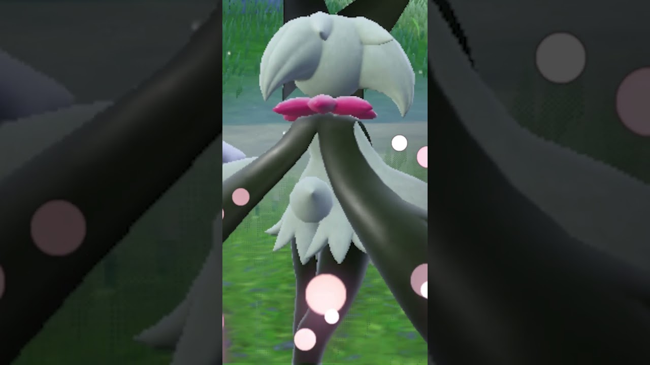 1761861520_maxresdefault-6522613-2531105-jpg